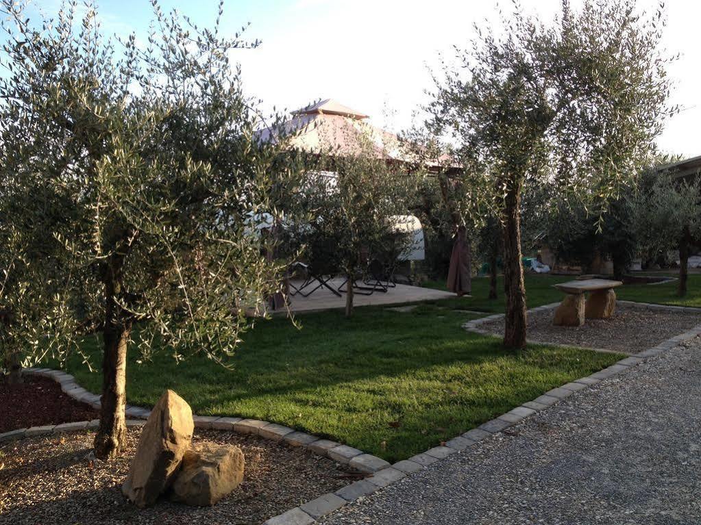 Massa e Cozzile Podere Raffanna Ecologic House מראה חיצוני תמונה